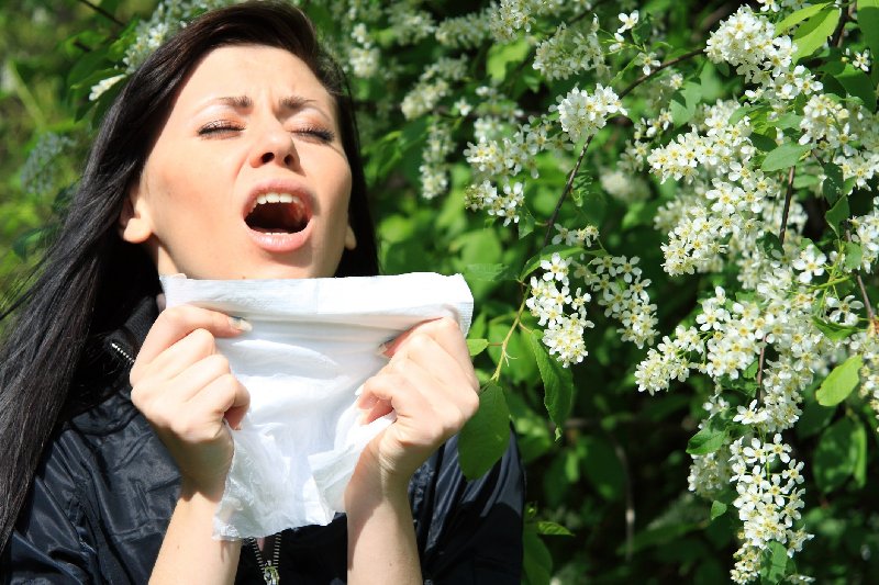 Przyczyny alergii, co do tej pory wiadomo?