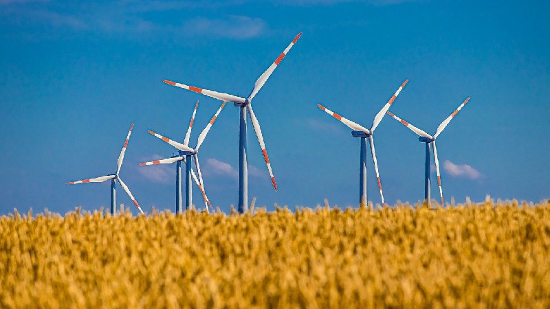Wybór oferty dostawcy energii