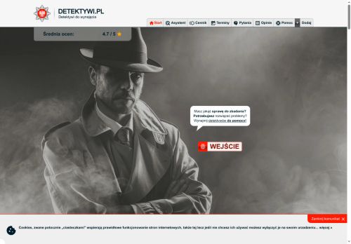 Detektyw, co może ustalić na zlecenie?